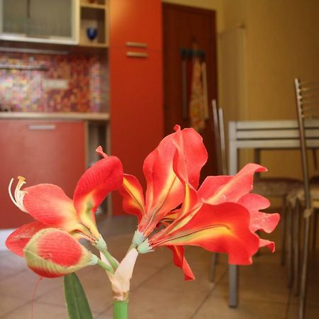 Bed and Breakfast Pisa Town Экстерьер фото