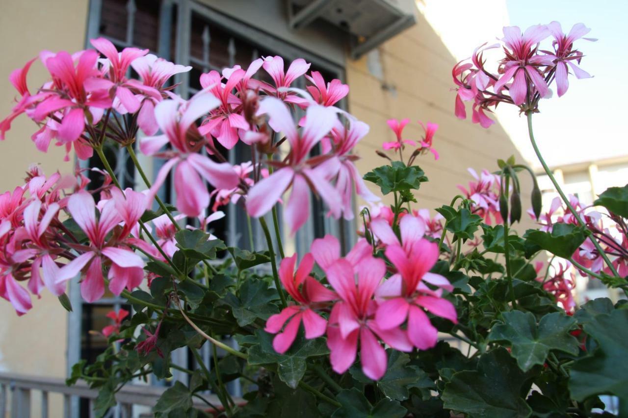 Bed and Breakfast Pisa Town Экстерьер фото