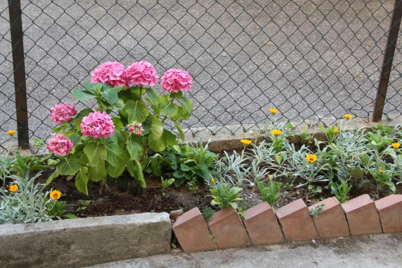 Bed and Breakfast Pisa Town Экстерьер фото